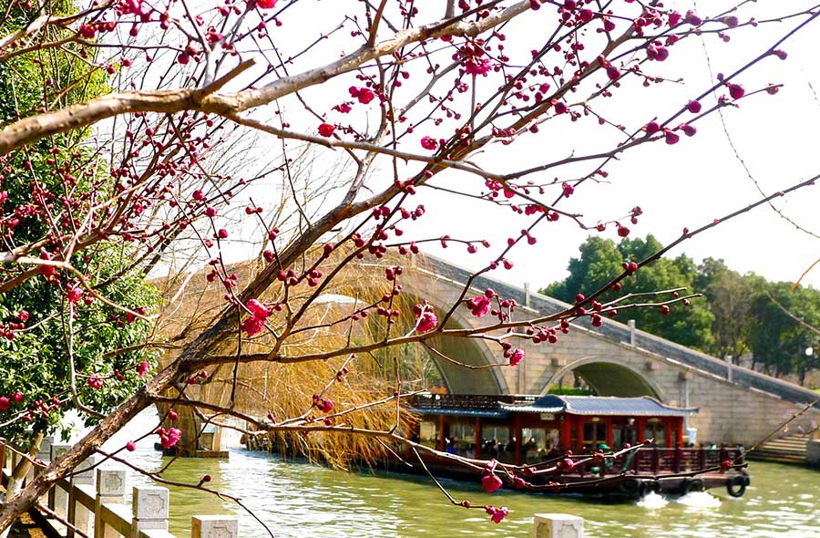 Un barco navega en un río en Suzhou, provincia de Jiangsu, el 23 de febrero de 2018. Ya ha comenzado la temporada de floración de los ciruelos esta parte del país, atrayendo a numerosos turistas. [Foto / Xinhua]