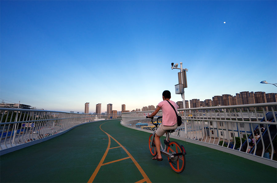 Algunas ciudades planean construir “rutas expeditas y exclusivas para bicicletas”