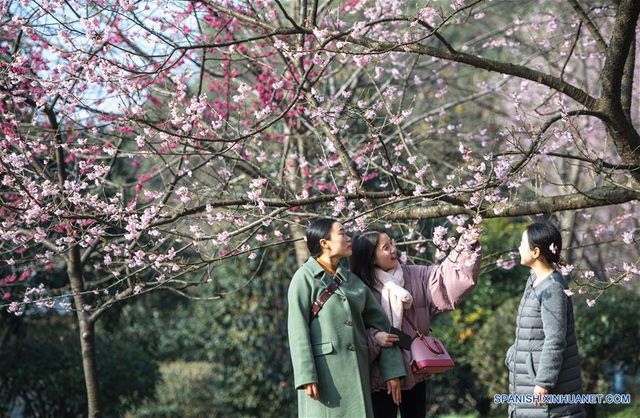 Turistas observan las flores de cerezo en el Area Escénica de Donghu, en Wuhan, provincia de Hubei, en el centro de China, el 9 de marzo de 2018. (Xinhua/Xiong Qi)