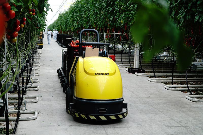 Pequeños vehículos de transporte no tripulados a prueba en la periferia de Beijing durante una cosecha de productos agrícolas. Por He Yong, Diario del Pueblo