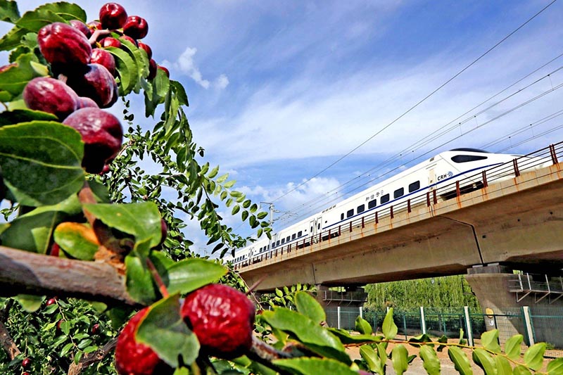 El tren de alta velocidad de Lanzhou-Xinjiang entró en funcionamiento el 26 de diciembre de 2014, y ha estado operando de forma segura durante más de 3 años. La imagen muestra un tren de alta velocidad pasando cerca de un jardín de dátiles en Hami, Xinjiang. Fuente de la imagen Pueblo en Línea