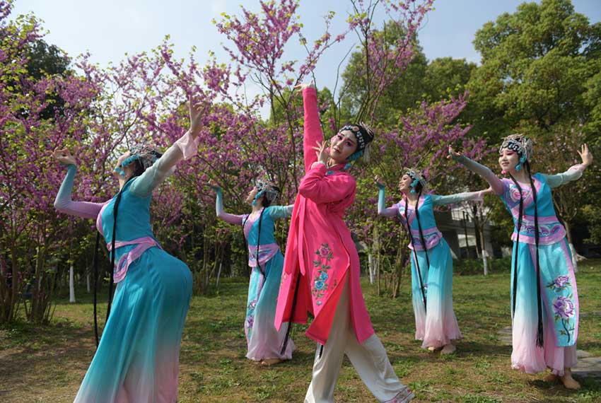 Estudiantes de la Universidad de Chongqing, provincia de Sichuan, interpretan “El jardín de las peonías” en el campus universitario. [Foto: Ye Weizheng]