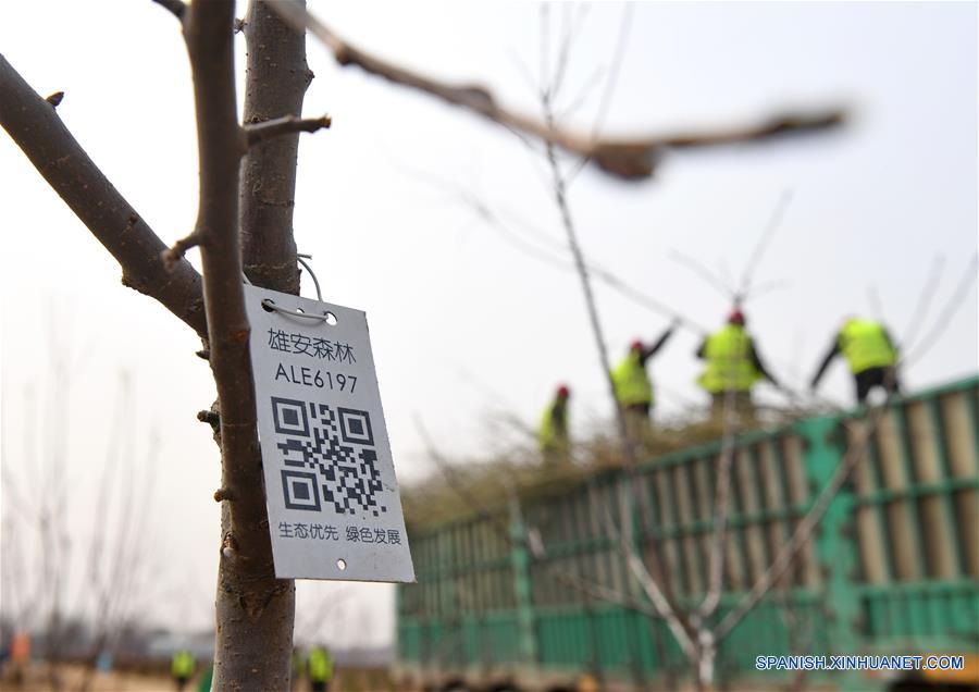 El proyecto ecológico de la Nueva Área de Xiongan