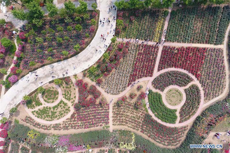 Emblemático Jardín de Rosas de Nanyang capta la atención de los visitantes