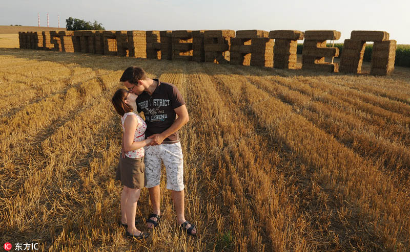 Markus Schmidt besa a su novia Corinna Pesl frente a fardos de paja con forma de letras que dicen "¿Quieres casarte conmigo?" en Pettling, Alemania, el 22 de agosto de 2009. [Foto / IC]