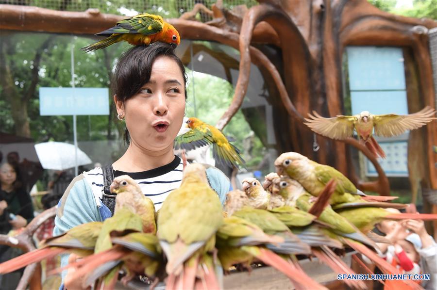 Aviario con más de 600 pericos en Zoológico de Chongqing