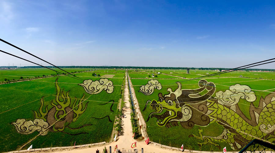 Un arrozal con imágenes 3D se convierte en una atracción de Shenyang