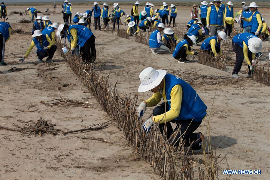Voluntarios universitarios participan en una actividad de control de la desertización en Mongolia Interior