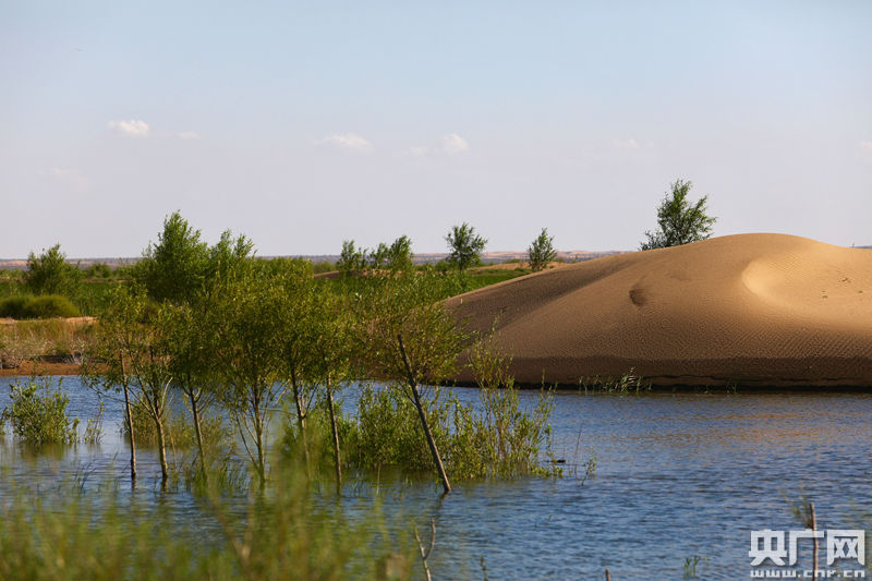La ingeniería hidráulica china convierte el desierto Kubuqi en un verdadero oasis