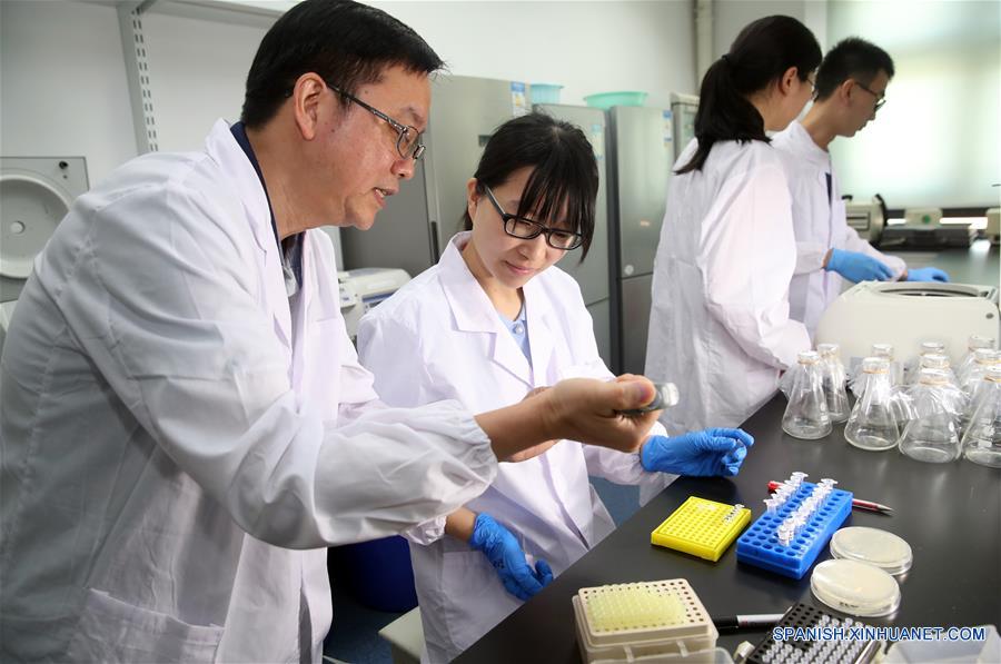 Científicos chinos realizan cirugía genética en levadura de cerveza