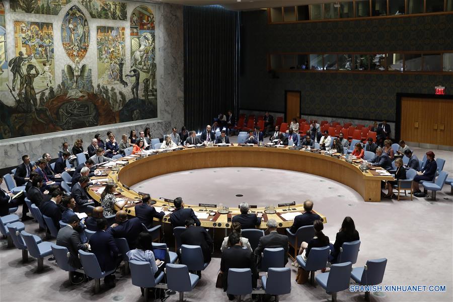 Vista general de la reunión del Consejo de Seguridad de la Organización de las Naciones Unidas (ONU) sobre la situación en Irak, en la sede de la ONU, en Nueva York, Estados Unidos, el 8 de agosto de 2018. (Xinhua/Li Muzi)