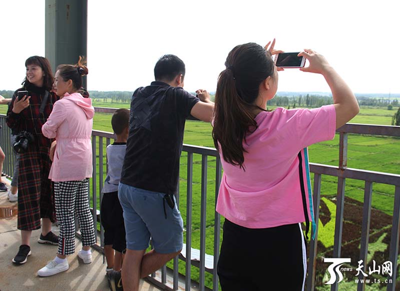 Los turistas toman fotos de la obra de arte de arroz desde la torre turística. (Foto / Tianshannet)