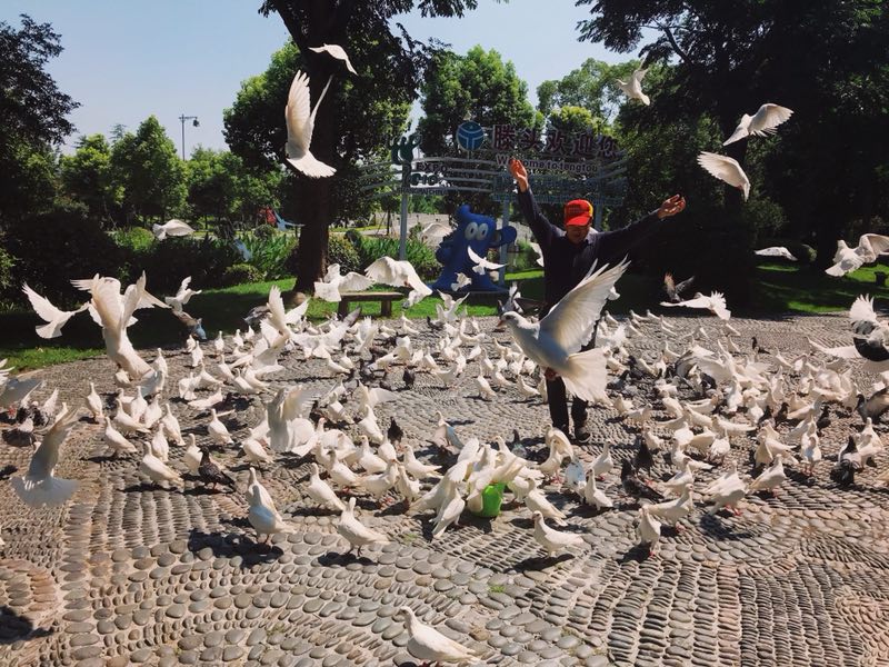 Xu Jianyun, entrenador de aves de 63 años de edad, fue contratado por las autoridades locales para mostrar las habilidades de sus palomas.