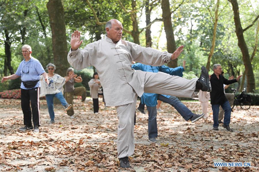 Personas aprenden Tai Chi en el Parque del Cincuentenario en Bélgica