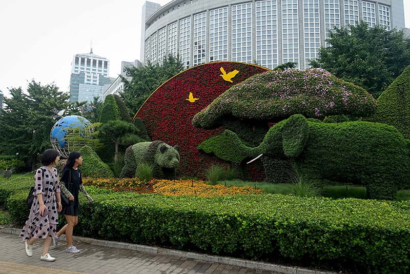 Esculturas de un panda gigante y un elefante africano se instalan previo al inicio de la III Cumbre FOCAC, Beijing, 22 de agosto del 2018. [Foto: Pueblo en Línea]