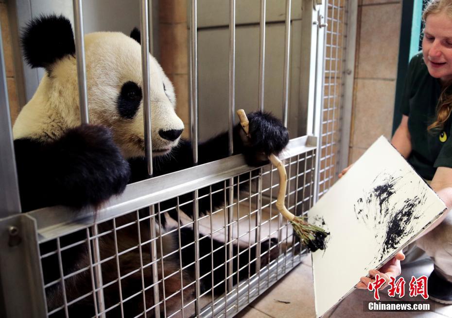 Un panda gigante "pinta" en Viena