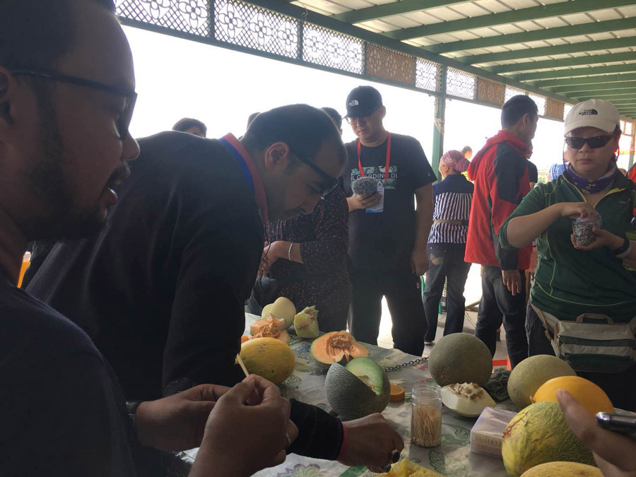 Los agricultores venden melones Hami. [Foto / chinadaily.com.cn]