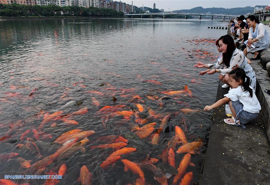 Fujian: Peces del Río Tongshanxi en Fuding