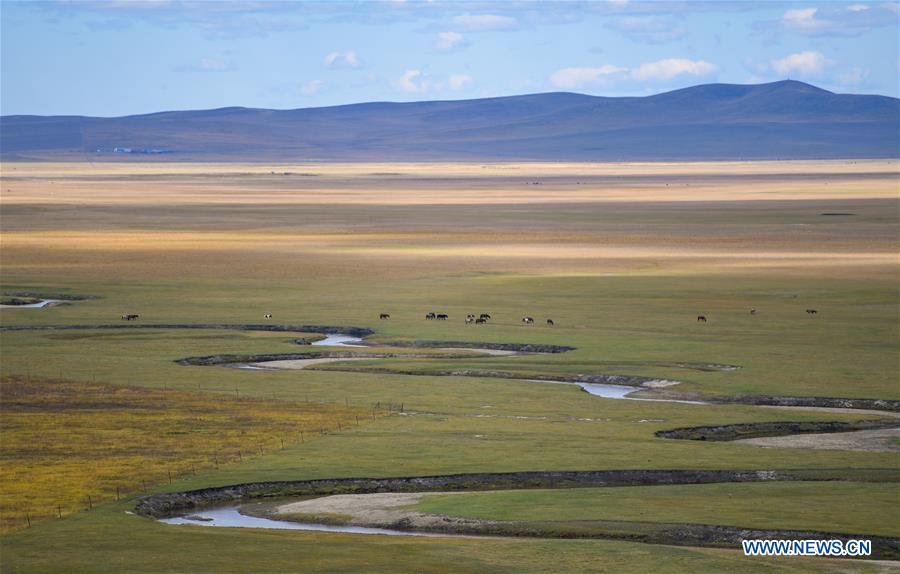 Atractivo paisaje de Ulgai en Xilingol, Mongolia Interior