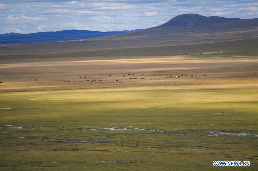 Atractivo paisaje de Ulgai en Xilingol, Mongolia Interior