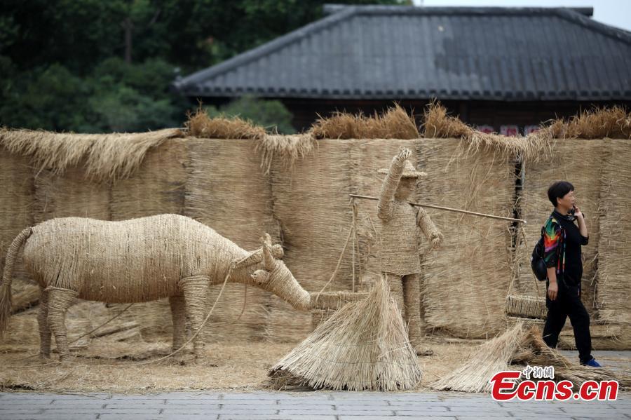 Un laberinto de paja en Changzhou ilustra sobre las tradiciones agrícolas chinas