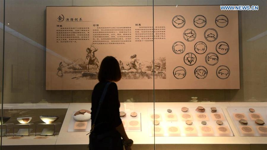 Una visitante contempla las exposiciones en el Museo Bengbu en la provincia de Anhui, este de China, 13 de septiembre de 2018. (Xinhua / Zhang Duan)