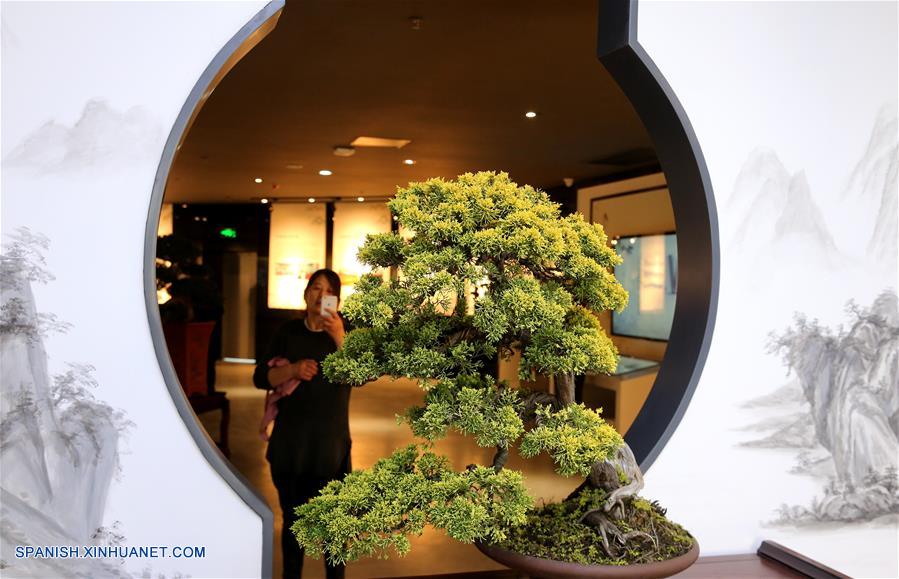 Jiangsu: Museo de árboles bonsai en Rugao