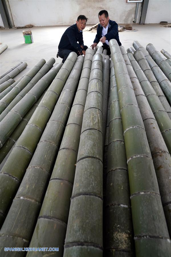Jiangxi: Monturas de gafas de bambú llegan a los mercados extranjeros