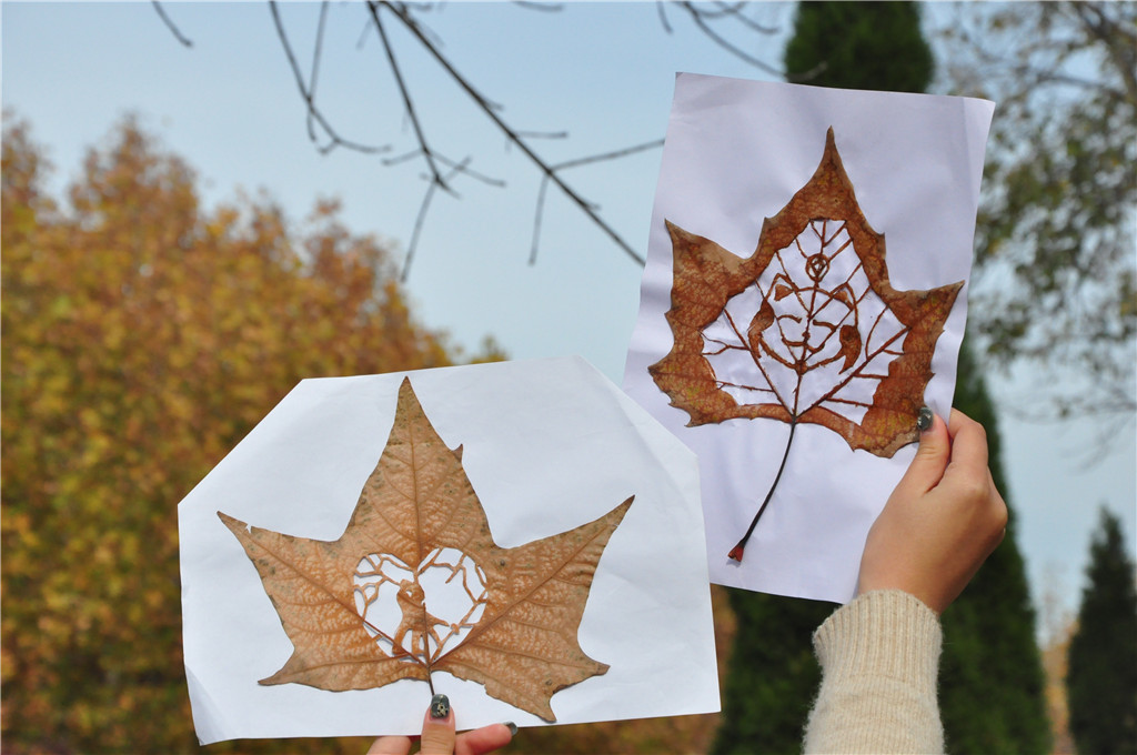 Estudiantes calan las hojas caídas