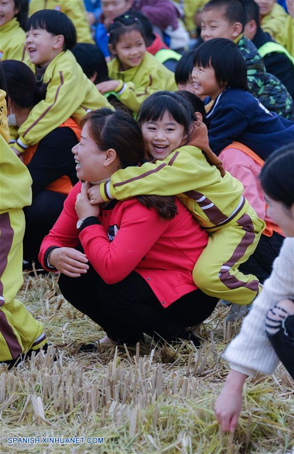Zhejiang: Padres e hijos asisten a una actividad recreativa en un arrozal