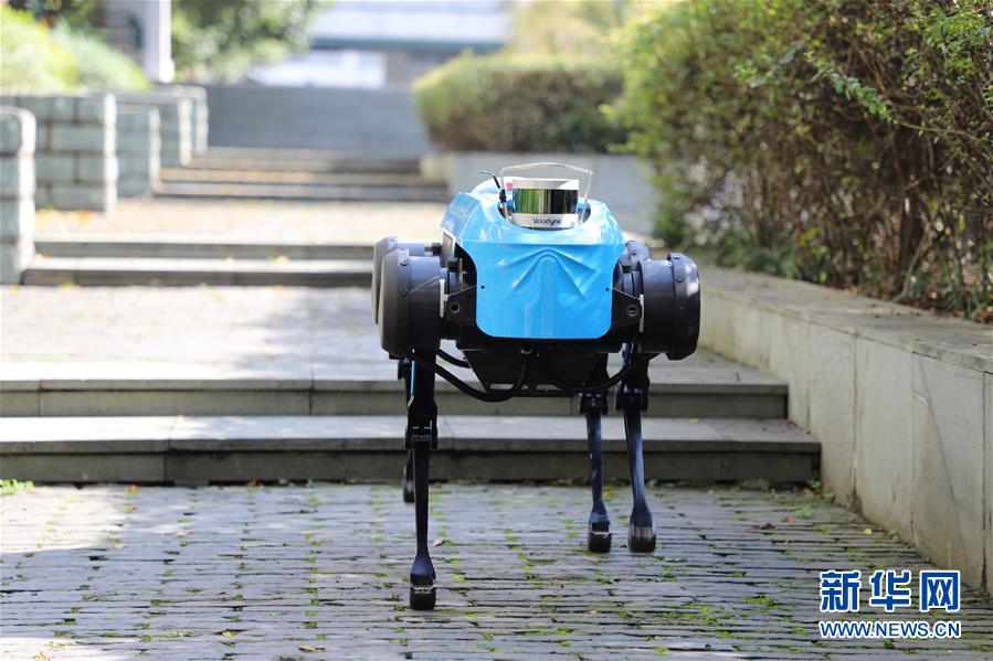 El robot de cuatro patas "Jueying" camina sin problemas por una superficie escalonada (Foto del 24 de noviembre). Agencia de Noticias Xinhua