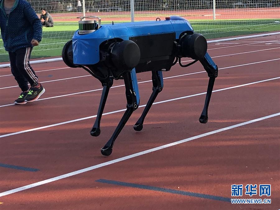 El robot de cuatro patas "Jueying" corre por una pista. (Foto del 24 de noviembre). Agencia de Noticias Xinhua