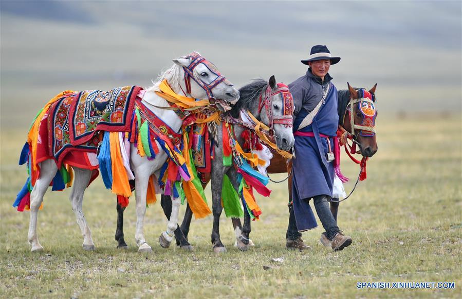 Los caballos han regresado a la vida de los tibetanos