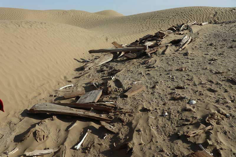 47 sitios patrimoniales y más de 70 reliquias se encontraron en las zonas media e inferior del río Keriya, Región Autónoma de Xinjiang Uygur. [Foto: Li Xiao]