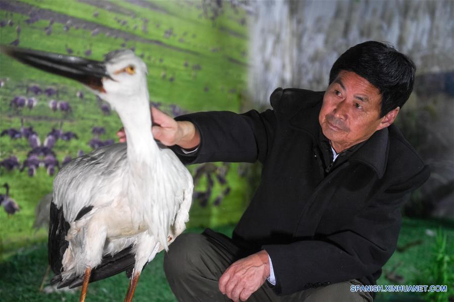 Pobladores de Anhui forman parte de una asociación para proteger a las aves migratorias