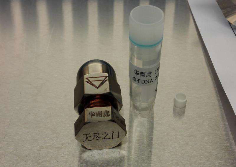El contenedor para guardar el polvo seco de ADN de un tigre del sur de China. [Foto provista a chinadaily.com.cn]