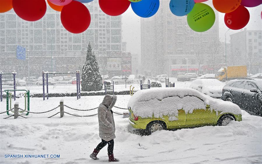 Shandong: Una nevada afectó Yantai