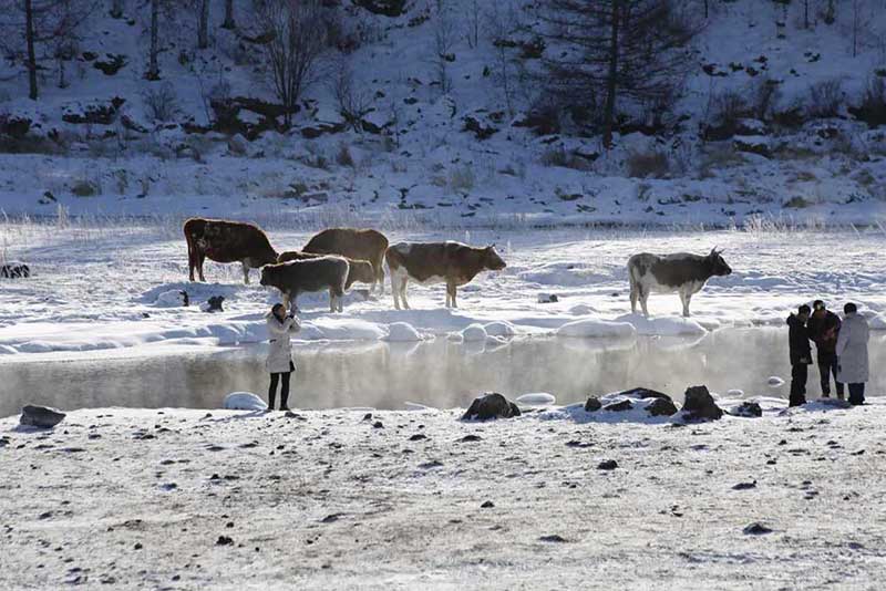El río llamado “el río descongelado” por los lugareños de Hinggan, Región Autónoma de Mongolia Interior, nunca se congela incluso cuando la temperatura alcanza valores entre menos 15 y 30 grados celsius. [Foto: proporcionada a chinadaily.com.cn]