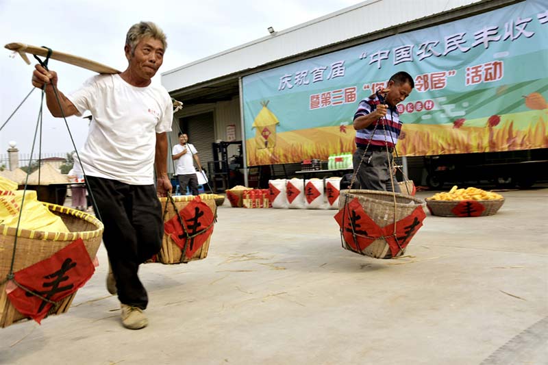 El 23 de septiembre de 2018 comenzó el equinoccio de otoño según el calendario lunar chino y se celebró el primer Festival de la Cosecha de Agricultores Chinos. Los aldeanos de Changgang en Rucheng, ciudad de Rugao, provincia de Jiangsu, participaron en una competición de recolección de alimentos. (Wu Shujian / Diario del Pueblo)