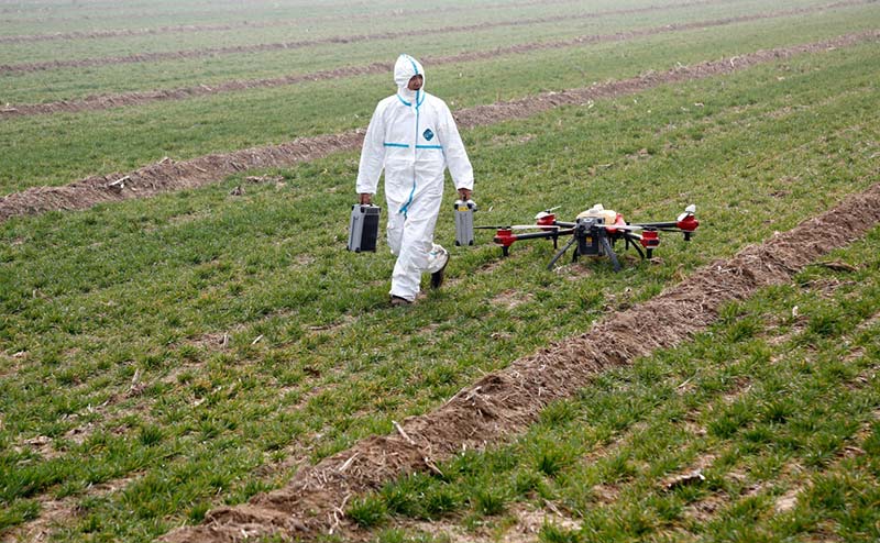 El 5 de marzo de 2019, en el campo de trigo de la aldea Lixin en la ciudad de Weinan, provincia de Shaanxi, un técnico prepara un dron que utilizará para fumigar los campos de trigo en primavera.  (Foto de Cui Zhengbo / Diario del Pueblo)