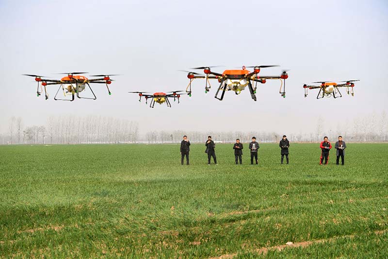 Campesinos de la provincia de Anhui utilizan drones para añadir químicos.