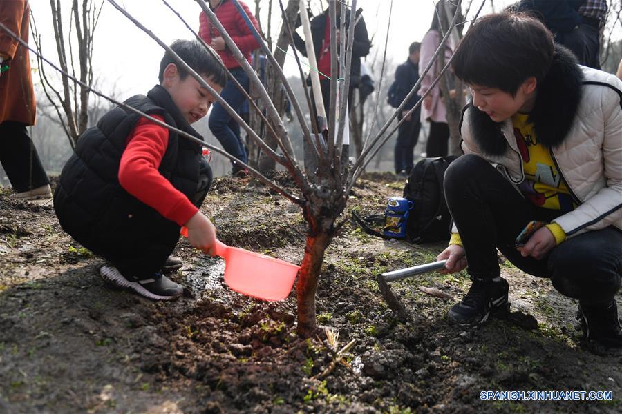 Plantan árboles en Hangzhou, Zhejiang