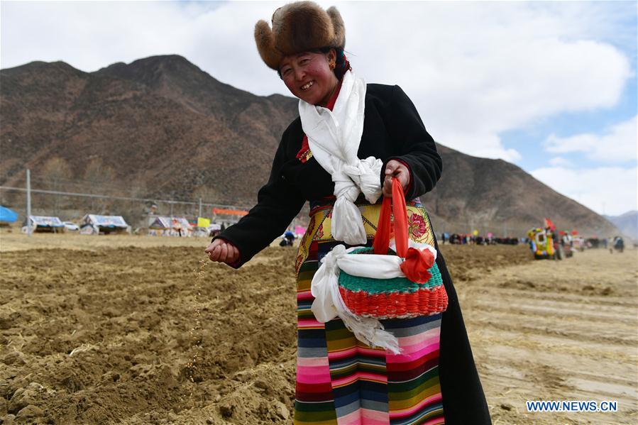 Una ceremonia marca el inicio del arado de primavera en el Tíbet