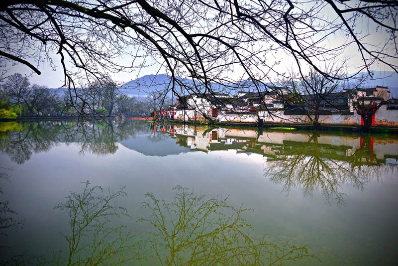 Hongcun, en Huangshan, provincia de Anhui, es un sitio muy famoso debido a su impecable arquitectura tradicional. Además, este pueblo es Patrimonio de la Humanidad UNESCO. Anhui , 20 de marzo del 2019. [Foto: Zhu Lixin/ Chinadaily.com.cn]