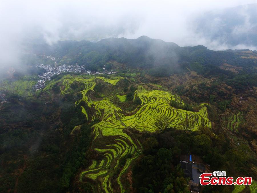 Belleza pastoral en Wuyuan