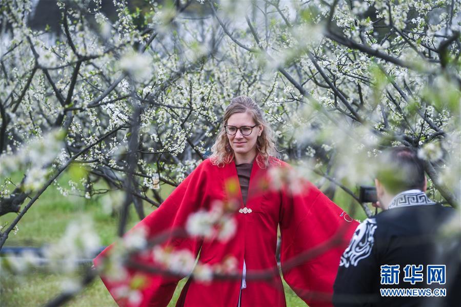 El 31 de marzo, una visitante de Países Bajos, vestida con trajes Hanfu, se hace fotos en los campos llenos de flores.