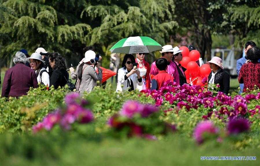 Festival Cultural de Peonías de Louyang