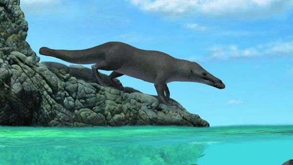 Descubren una antigua ballena con cuatro patas