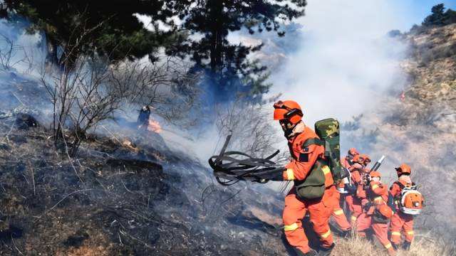 El calentamiento global podría conducir a grandes incendios forestales