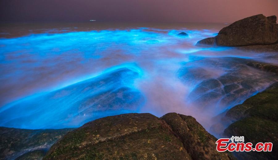 Efervecencia de algas azules hace centellear el agua de Fuzhou